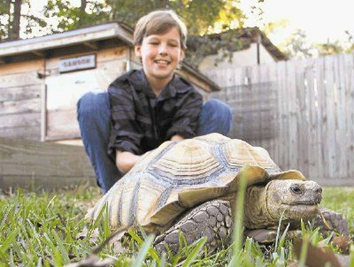 Lost 60-pound pet tortoise returned to 11-year-old boy