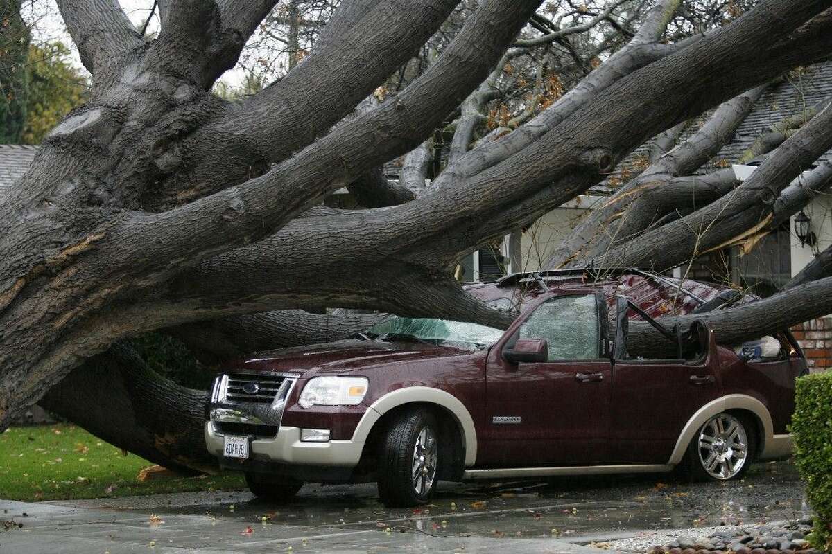 An SUV was crushed by a large oak tree during a storm Thursday in San Jose, Calif. No injuries were reported.