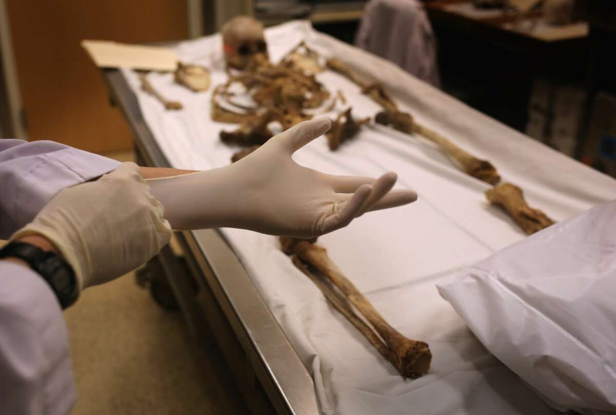 Forensic anthropologist Tracy Van Deest prepares to take an inventory of skeletal bones at the Pima County Office of the Medical Examiner on December 9, 2014 in Tucson, Arizona. Forensic anthropologists attempt to identify the deceased, most of whom are undocumented immigrants found in the Arizona desert.