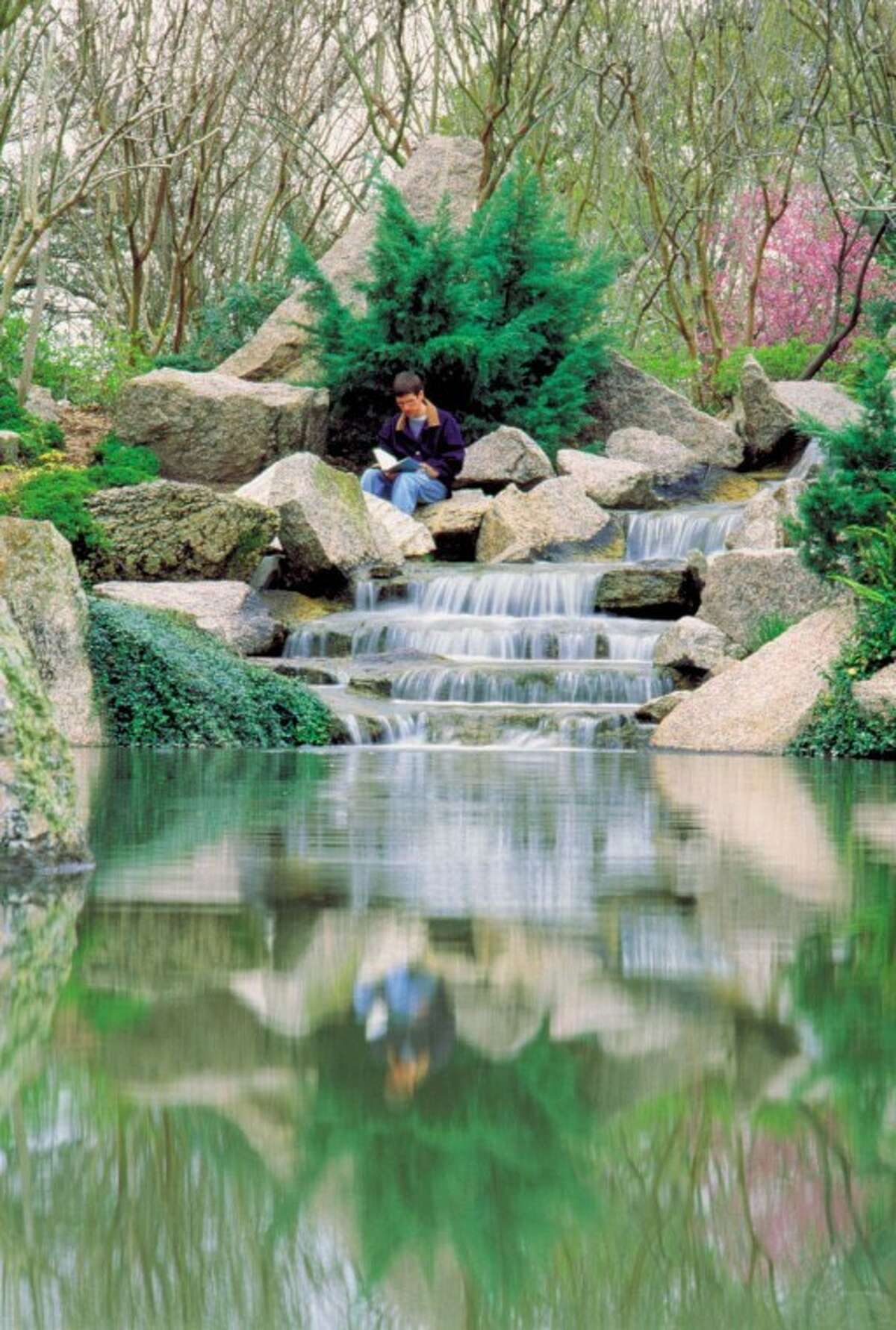 Hermann Park Japanese Garden Day June 19