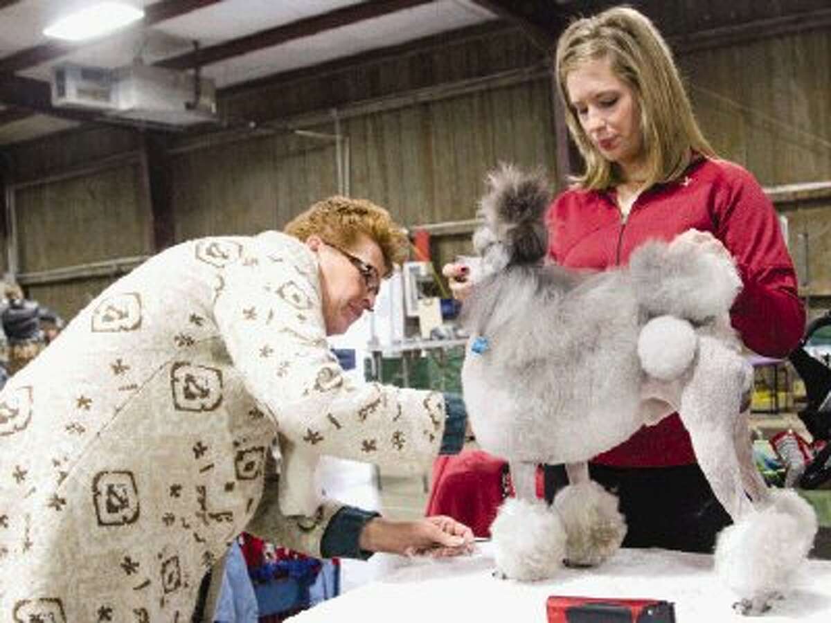 Conroe Kennel Club hosts Annual All-Breeds dog show