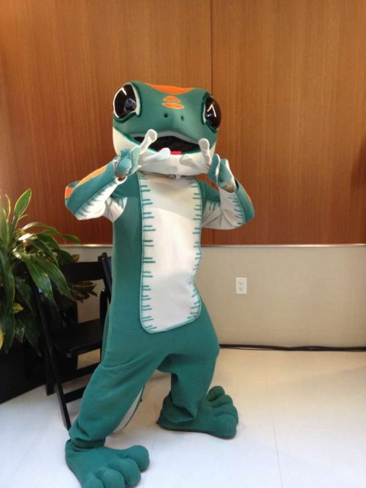 Geico Joba - yox8vwi