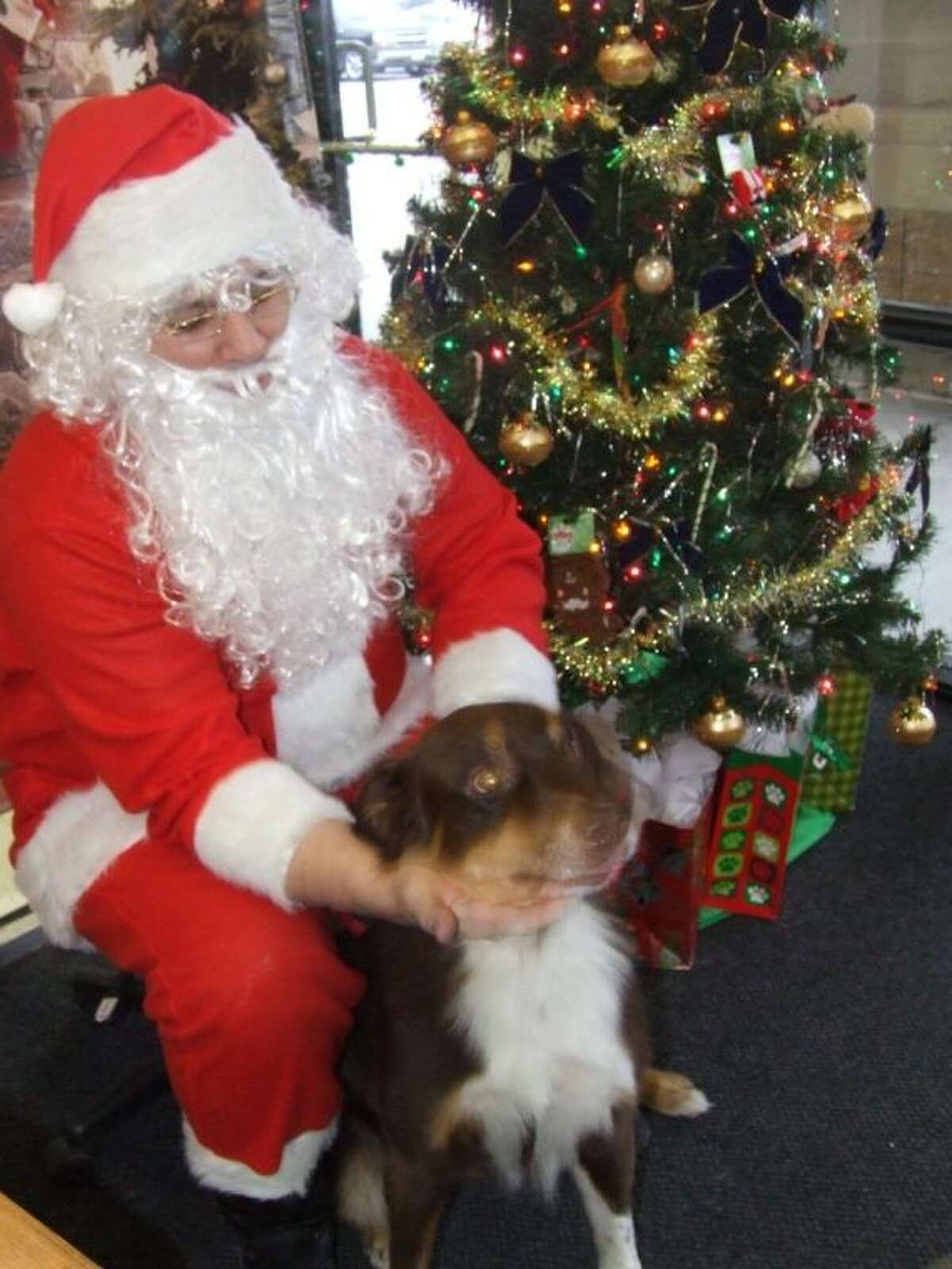 Petco stores host photo with Santa event