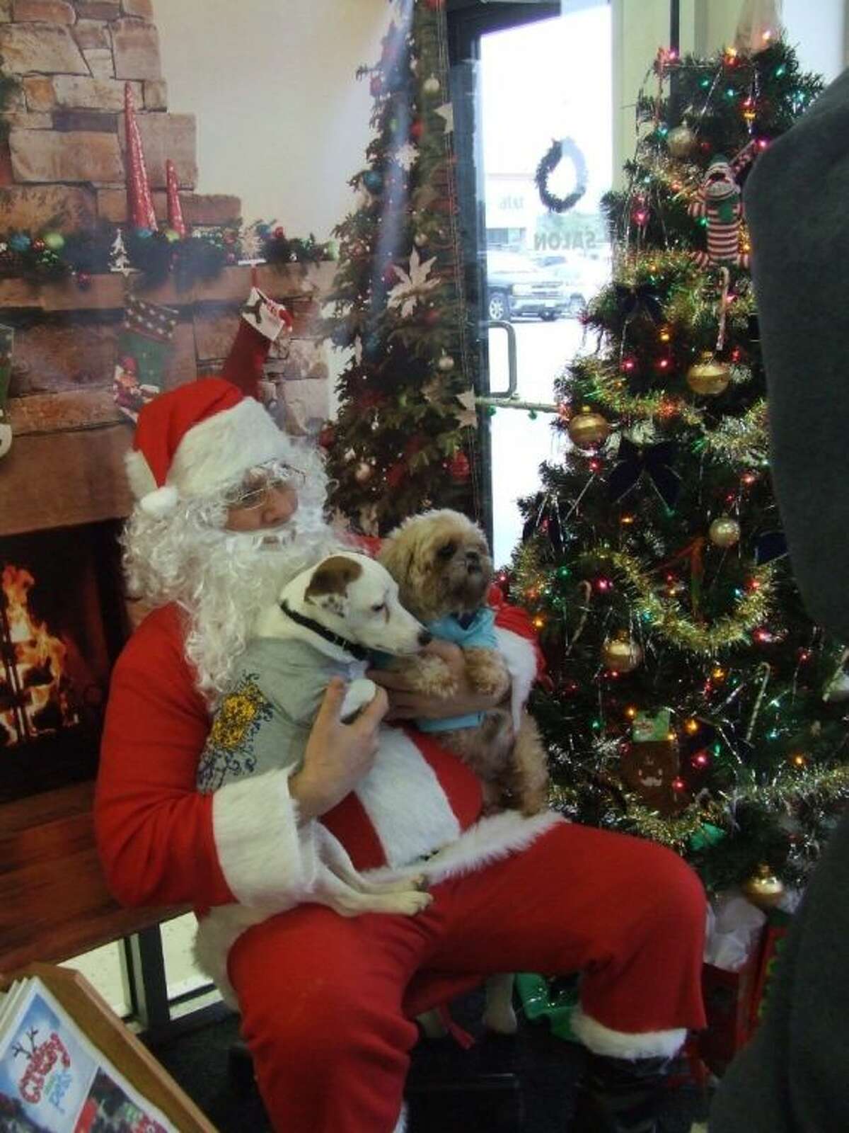 Petco stores host photo with Santa event