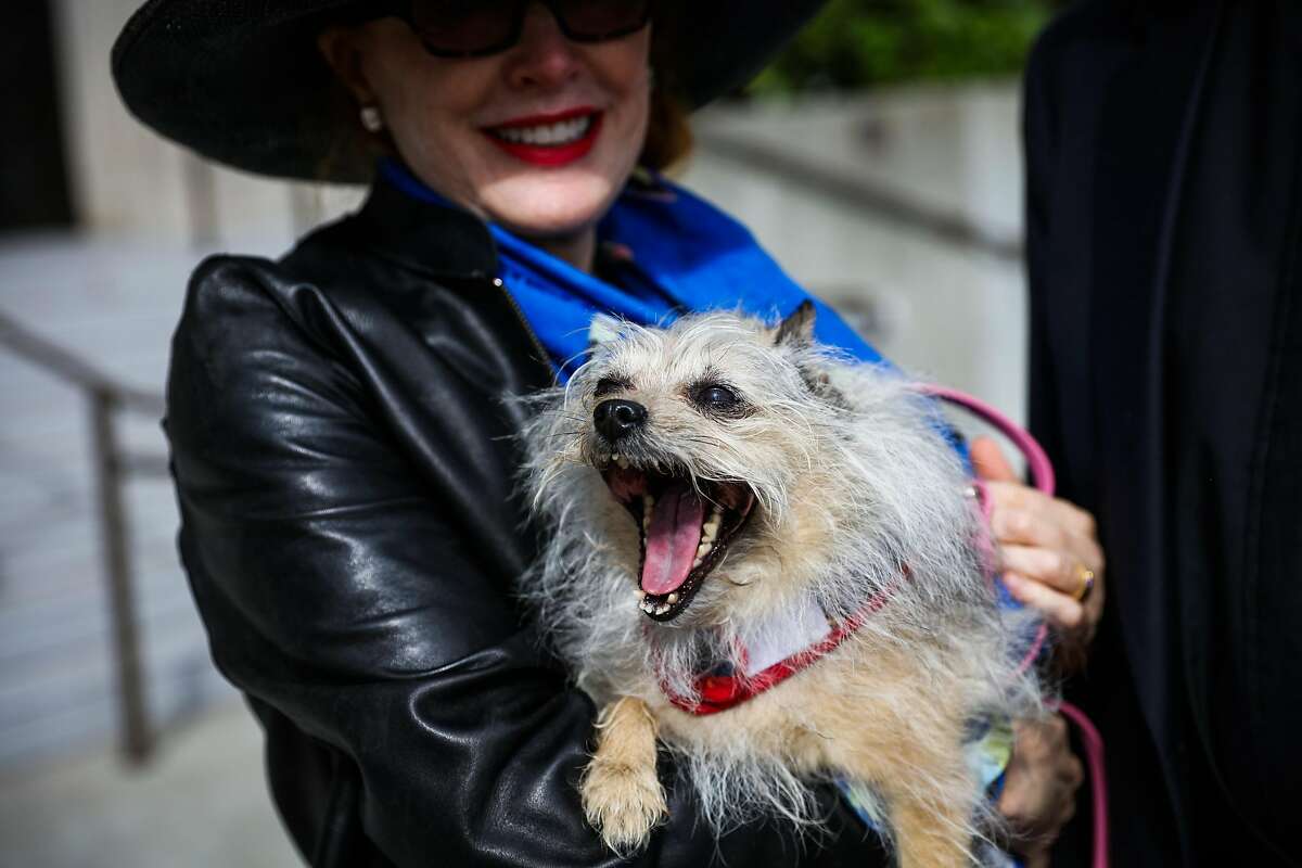 Cricket Jones stands with her dog Tigger, before entering church services at Grace Cathedral, in San Francisco, California, on Sunday, Oct. 2, 2016.