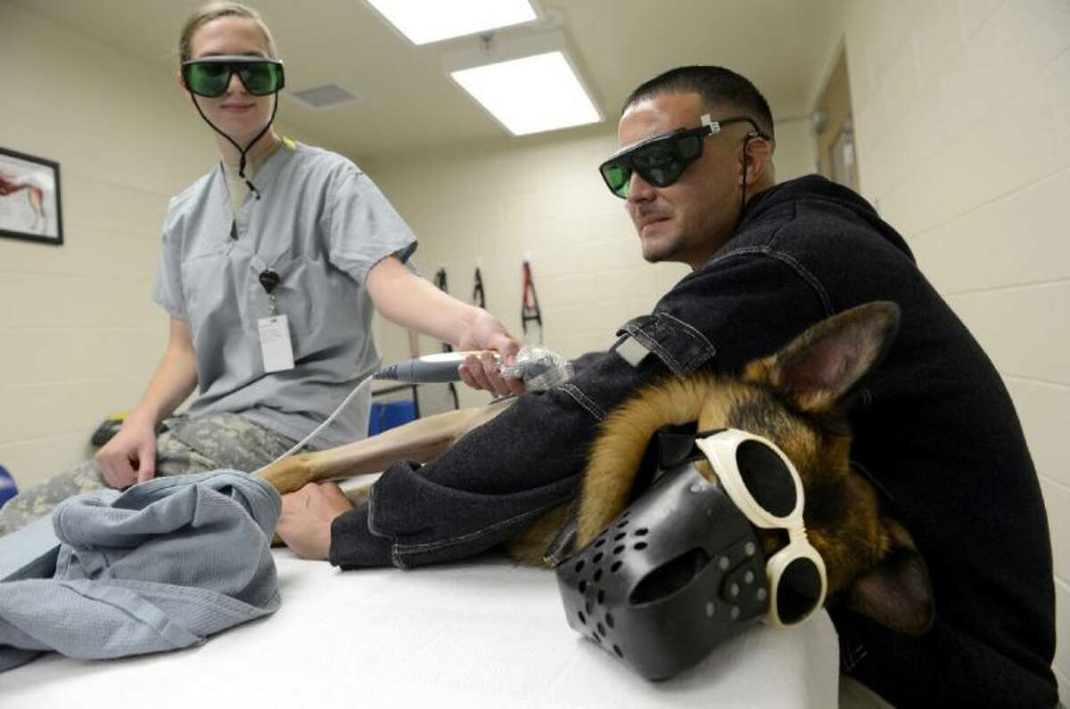 Training military working dogs on a mission