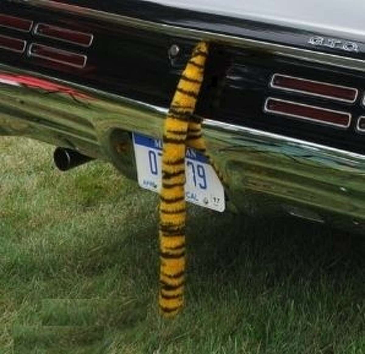 Galloping Gallimaufry