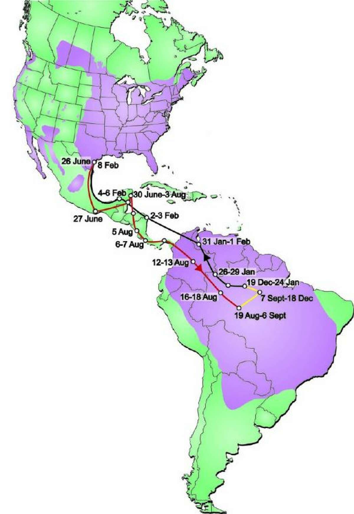 The Purple Martin Conservation Association tracked the migration routes of individual birds to and from Texas via tiny geo-locators, worn as bird packpacks.