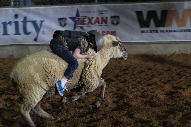 Mutton Ride Kingwood five-year-old wins first Mutton Bustin’ event at Humble Rodeo