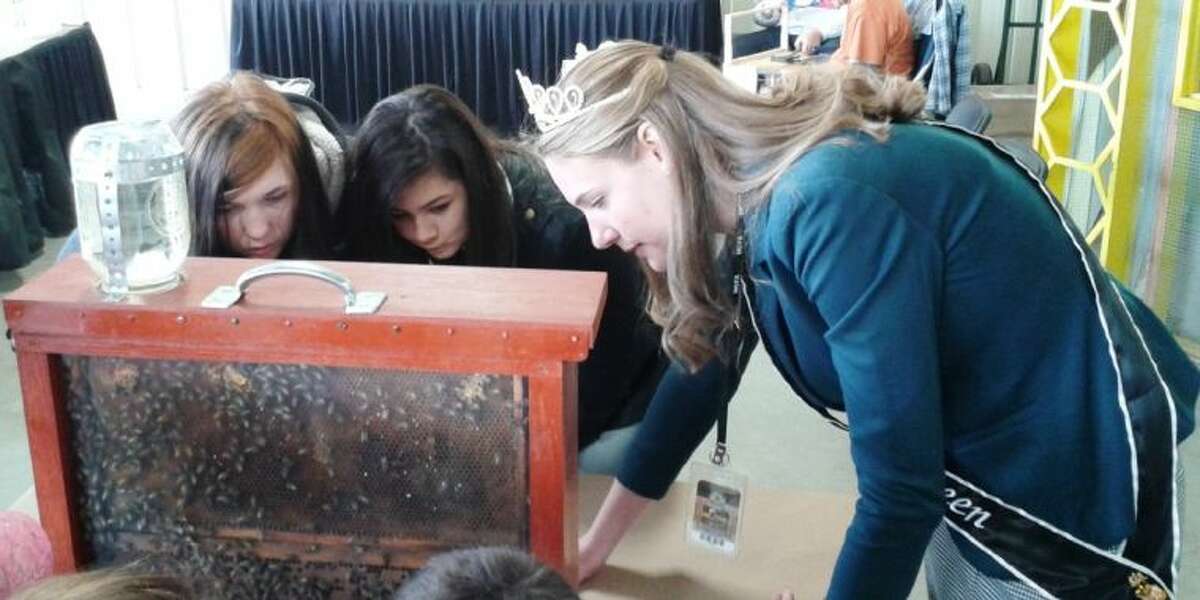 Texas Honey Queen Hayden Wolf teaches students about bees at the Beekeeping Booth at the Montgomery County Fair Monday.