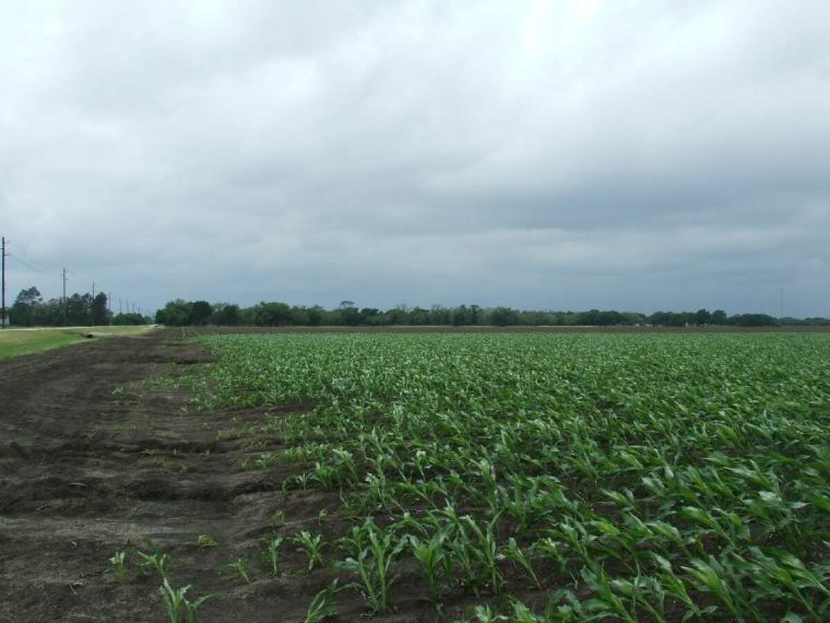 Shadows of the past Local historian finds bad luck, inclement weather