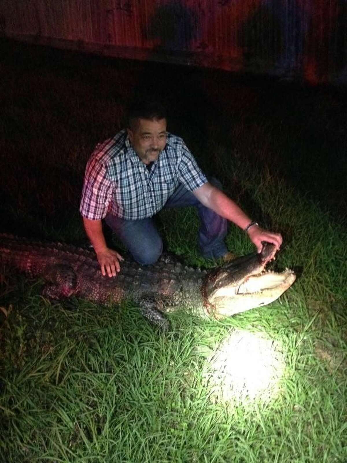 Pct. 5 Deputy Constable David Hunter removed a 10-foot alligator from US 90 in Liberty Wednesday night.