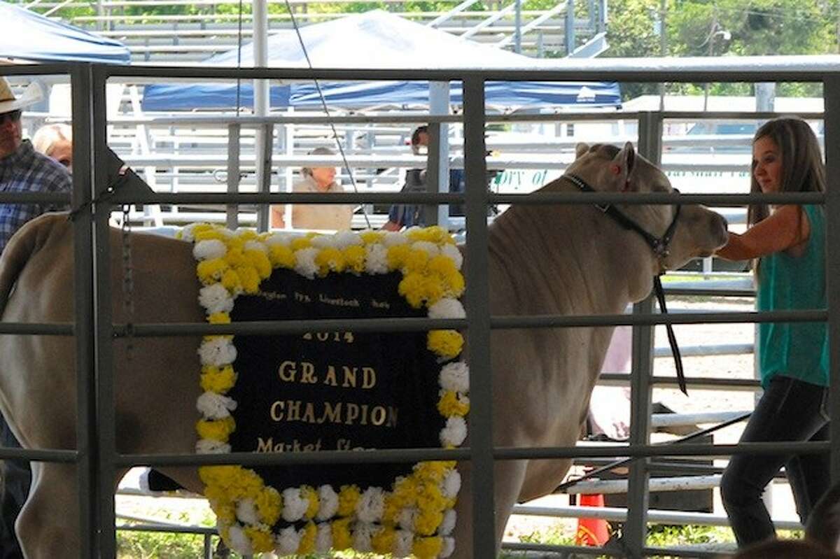 Dayton FFA livestock sale brings in 258K