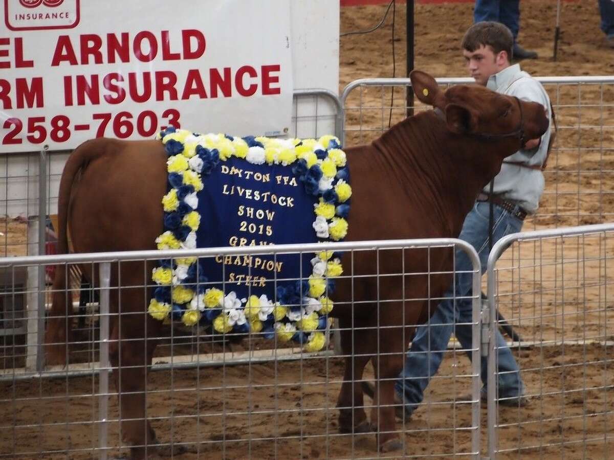Dayton FFA Livestock Show auction and sales total 257,000