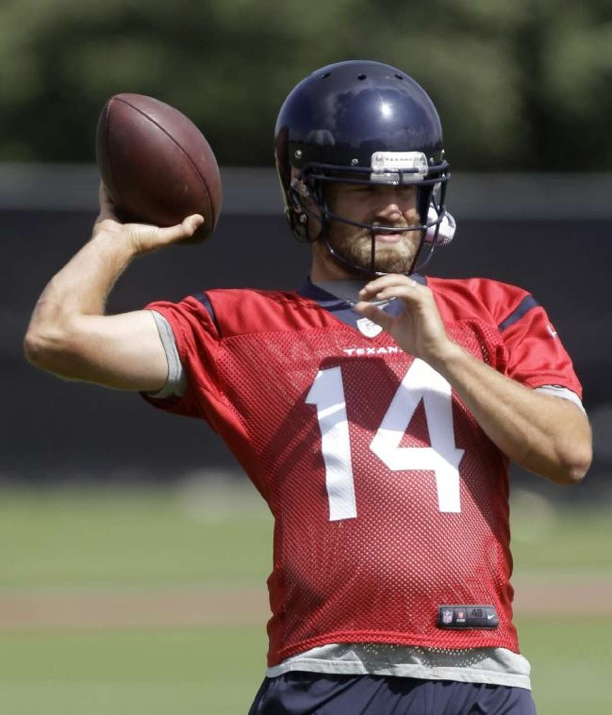 Houston Texans quarterback Ryan Fitzpatrick has been named the starter by first-year coach Bill O’Brien.