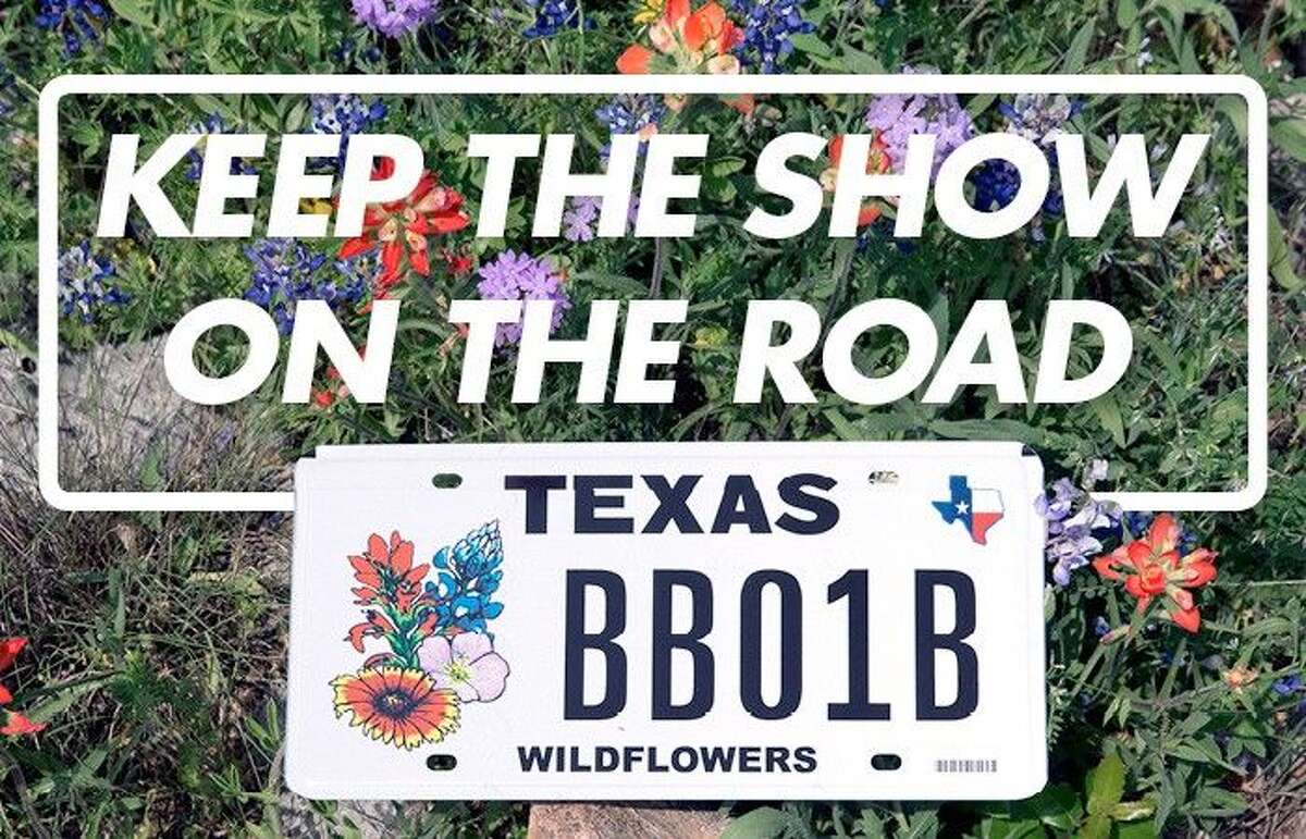Texas Wildflowers license plates available