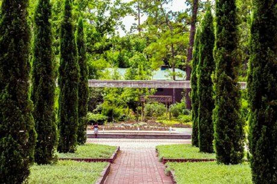 Mercer Botanic Gardens Renaissance Garden Progresses Houston