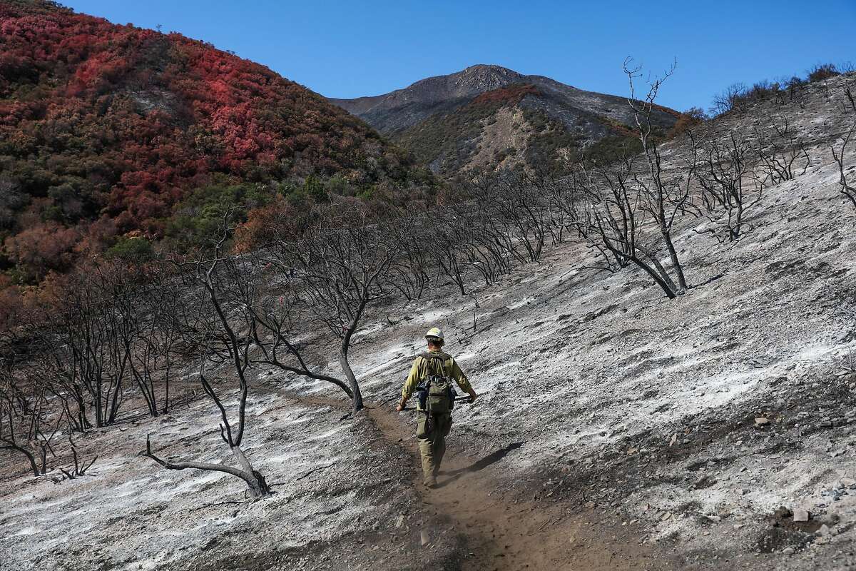 Firefighter Mike Leslie walks through a forested area that was devastated by the Soberanes Fire, in Monterey, California, on Thursday, Sept. 29, 2016. Mike Leslie and his crew aided in fighting the fire.