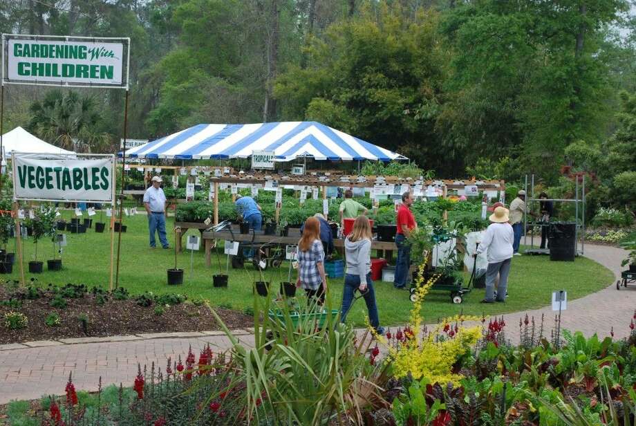 Mercer Botanic Gardens Hosts March Mart Plant Sale Houston Chronicle