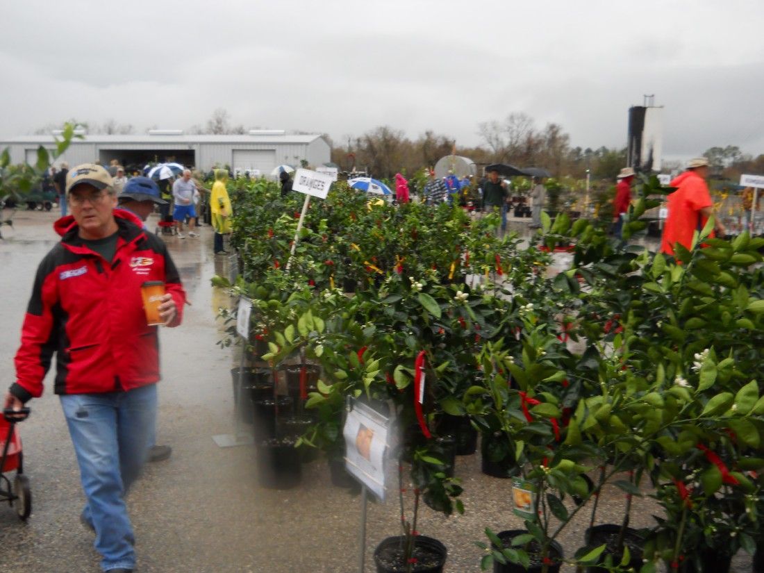 Brazoria County Master Gardener Spring Plant Sale returns returns April 2