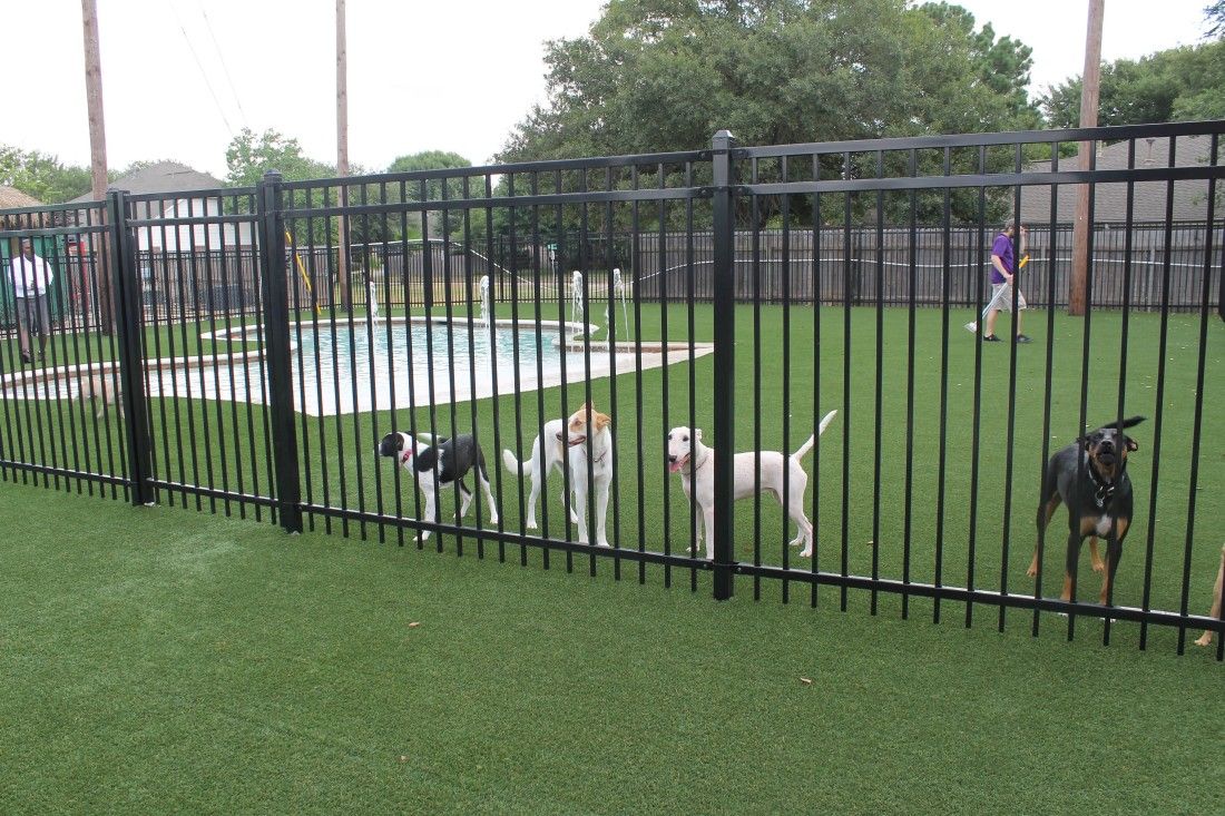 barkway pet resort