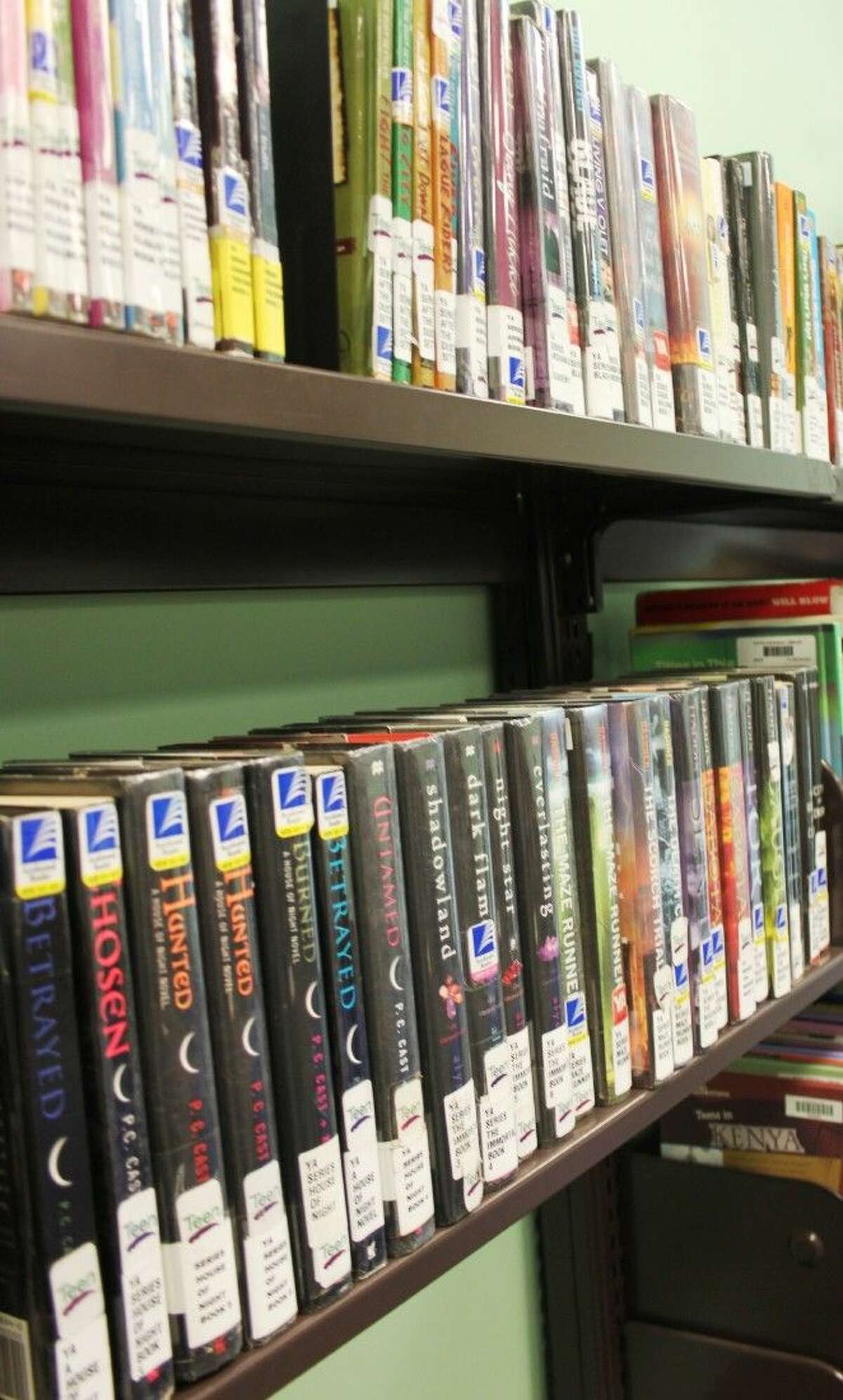 Books that deal in occult or have vampire characters are being questioned by Shepherd minister, Phillip Missick, who is circulating a petition to have certain books removed from the teen section at Austin Memorial Library in Cleveland.