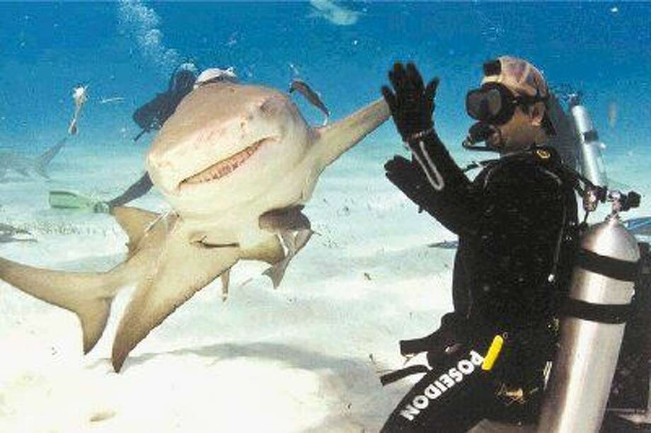 Woodlands shark celebrity raises funds for Shark Research Institute