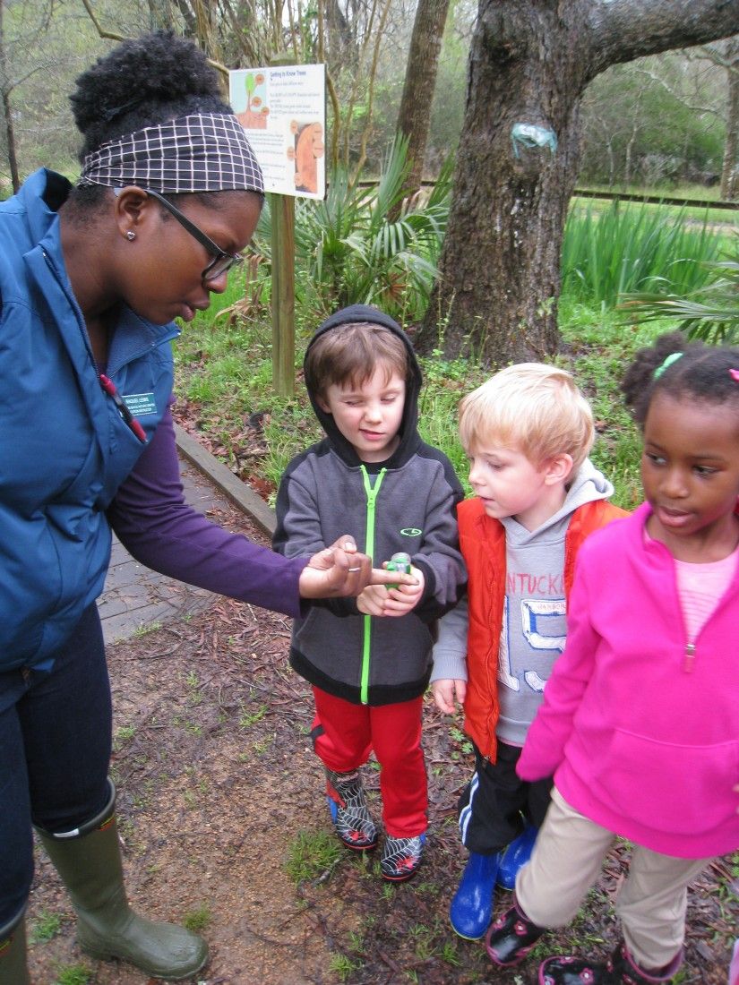 Armand Bayou Nature Center to host Children's Nature Classes