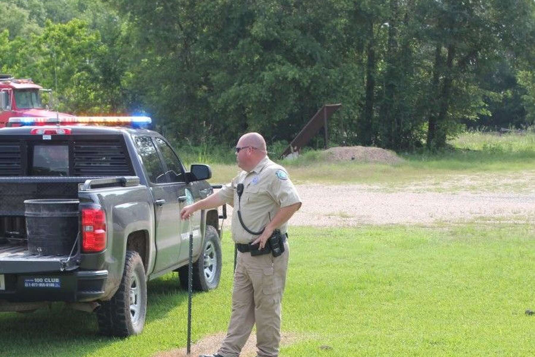 Alligator stops traffic briefly in Moss Hill