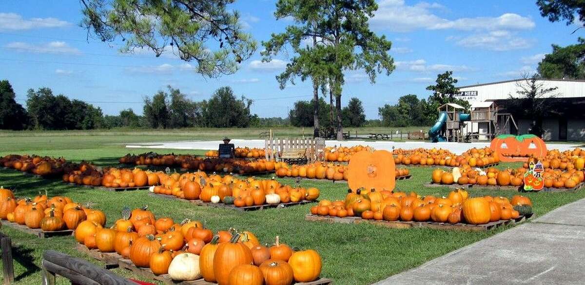 Lake Houston UMC Pumpkin Patch opens Oct. 6