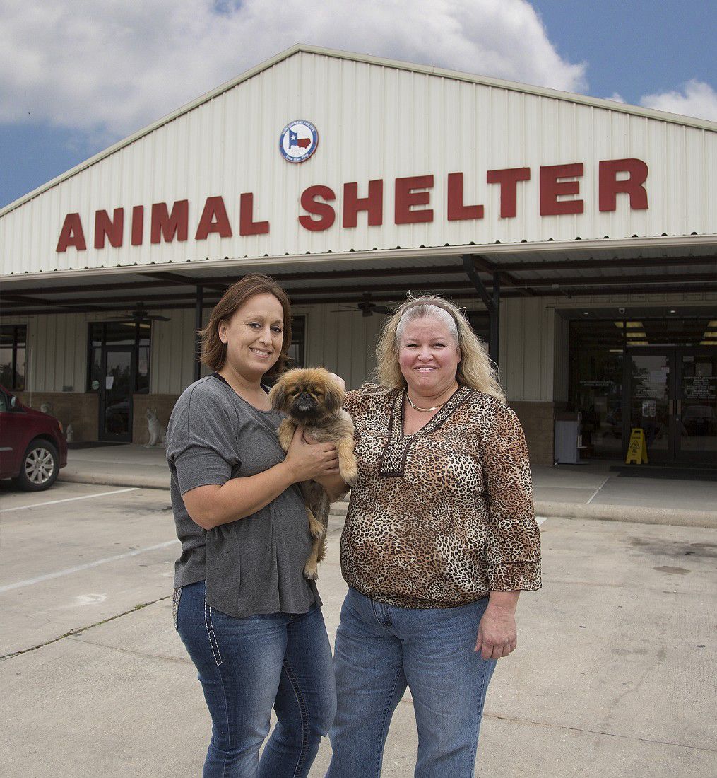 Montgomery County Animal Shelter appoints rescue and foster coordinators