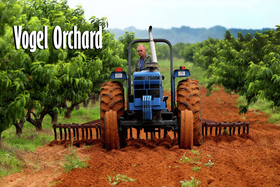 Pumpkin patches and haunted houses to visit in San Antonio this year