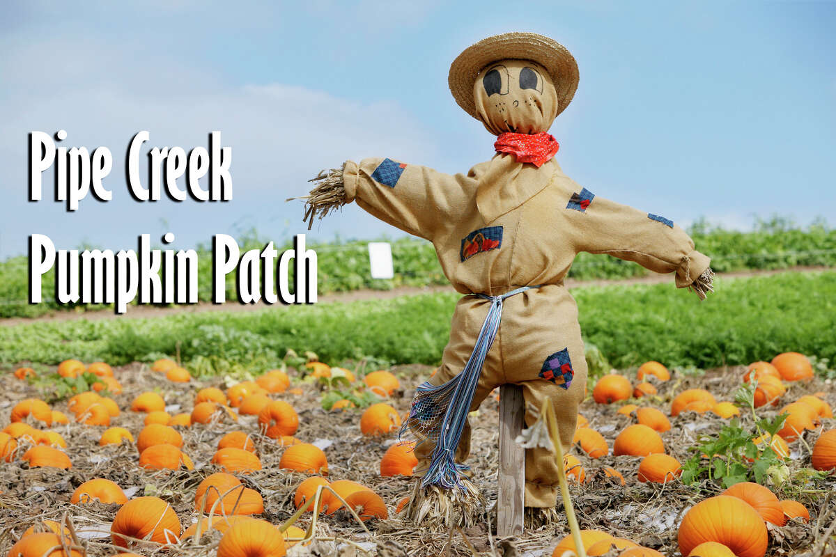 Pumpkin patches and haunted houses to visit in San Antonio this year