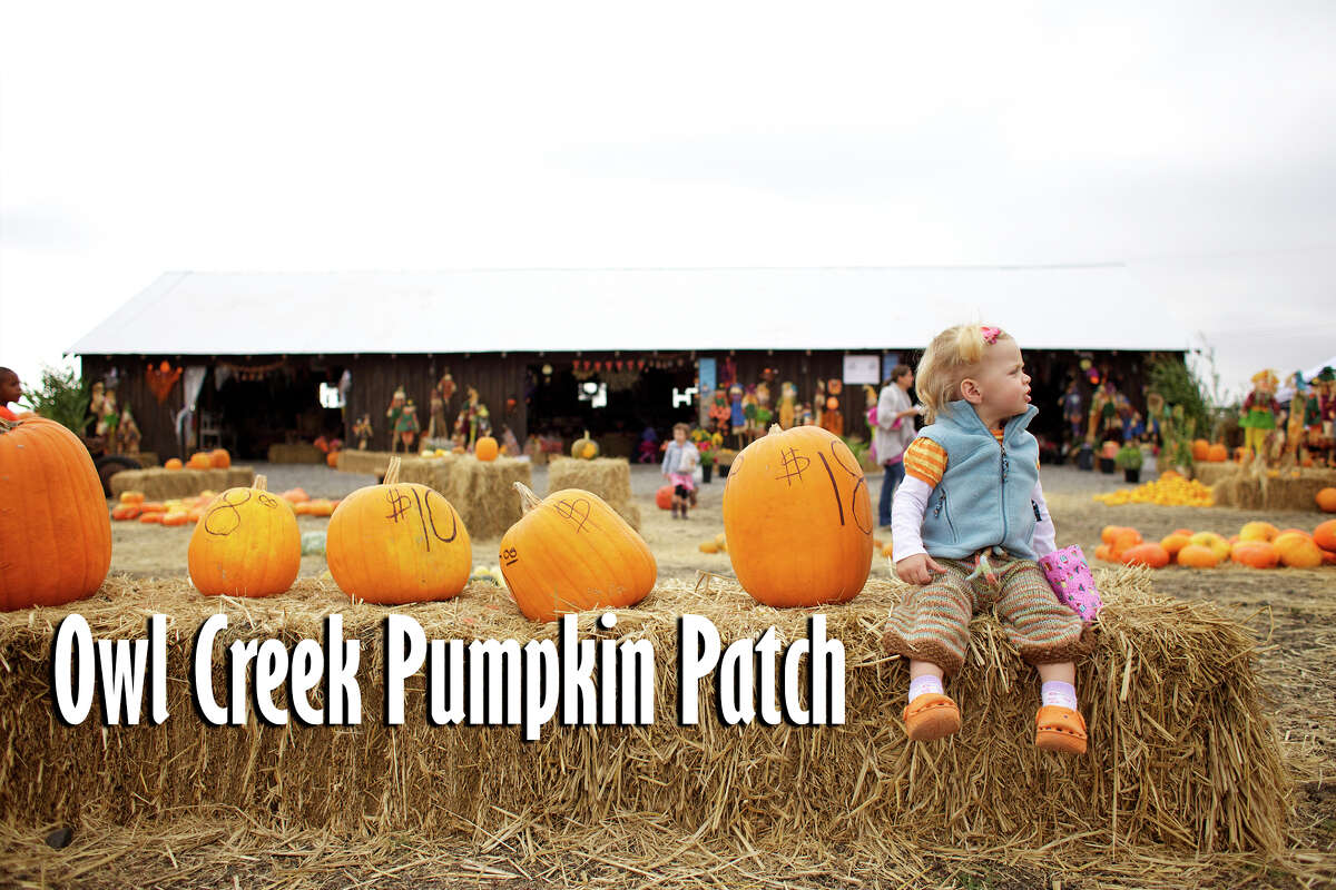 Owl Creek Pumpkin Patch: 12355 Military Drive Opens Sept. 28.