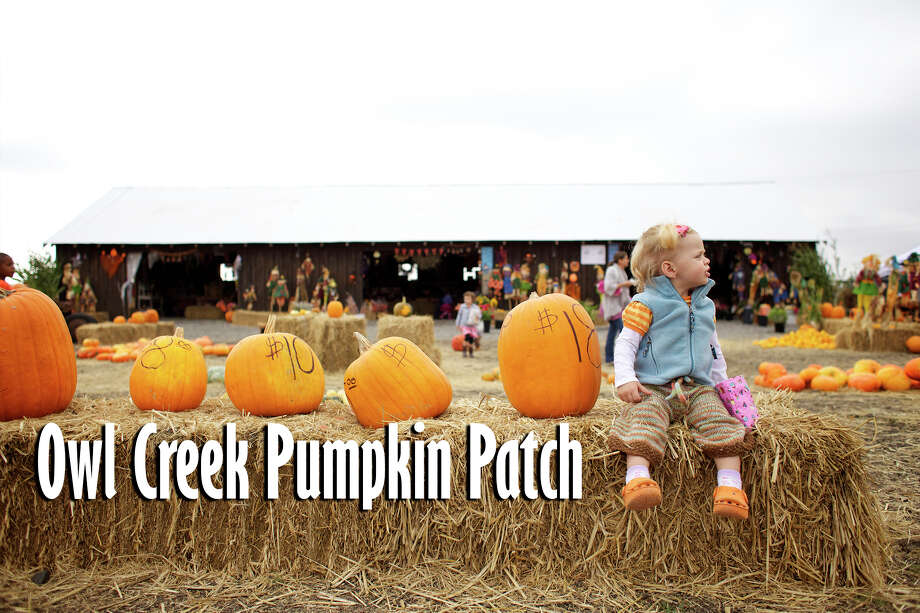 Pumpkin patches and haunted houses to visit in San Antonio this year