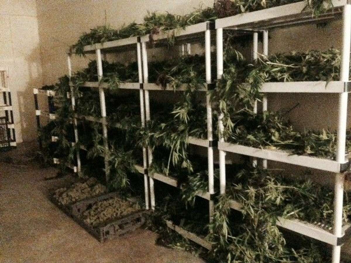 A tip from an electric service technician helped uncover an extensive marijuana grow house in Humble on Tuesday.