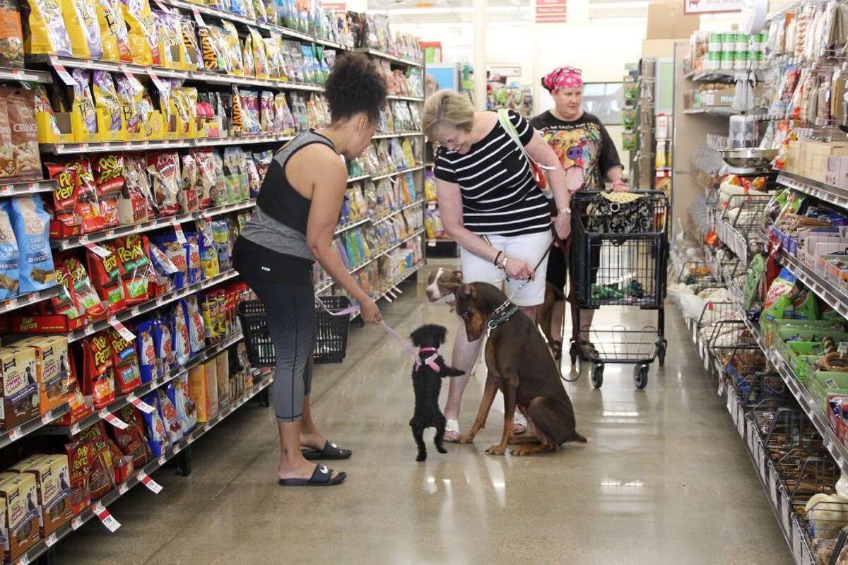 Pet store officially marks territory