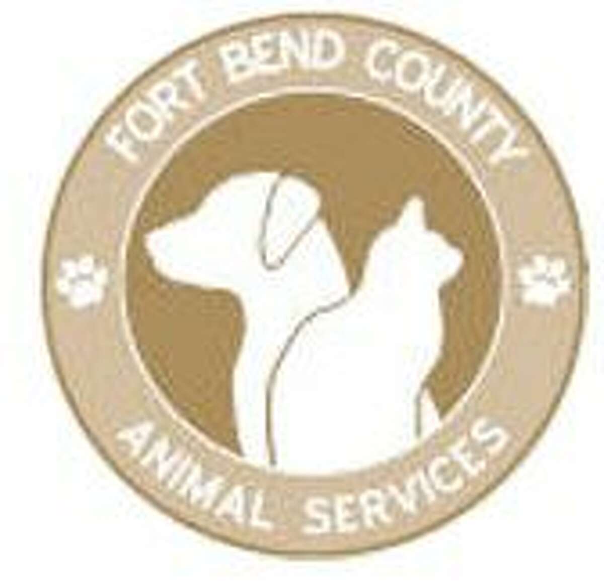 Fort Bend County’s animal shelter to participate in adoption event 