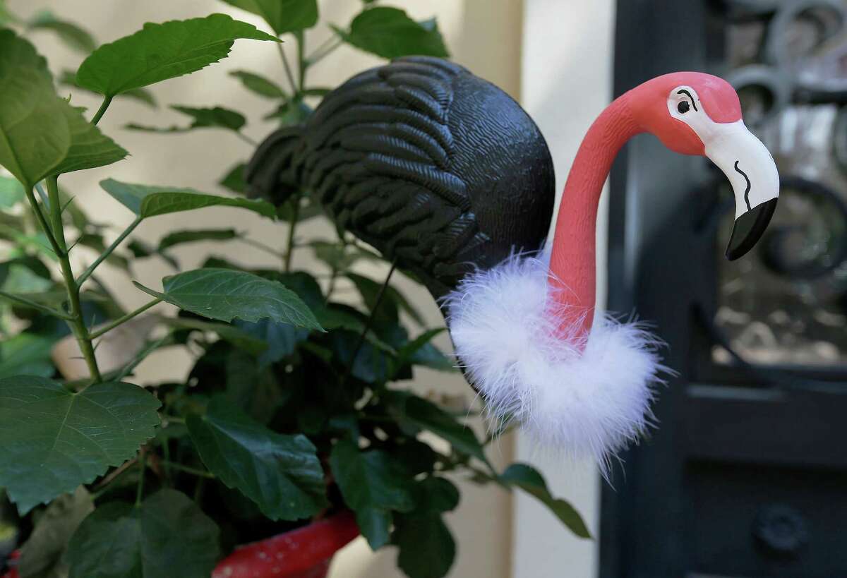Morena Hockley creates three simple do-it-yourself products for Halloween to decorate a front door of a home. The three items are: a vulture made from a flamingo lawn ornament, the legs and broom of a witch for the front door welcome mat and two concrete planters in the shape of a jack-o-lantern and a skull. (Kin Man Hui/San Antonio Express-News)