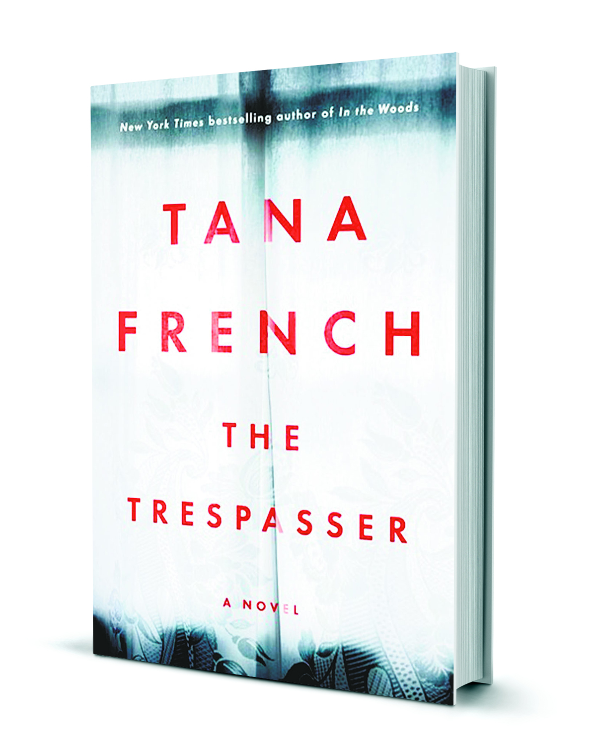 in the woods tana french series