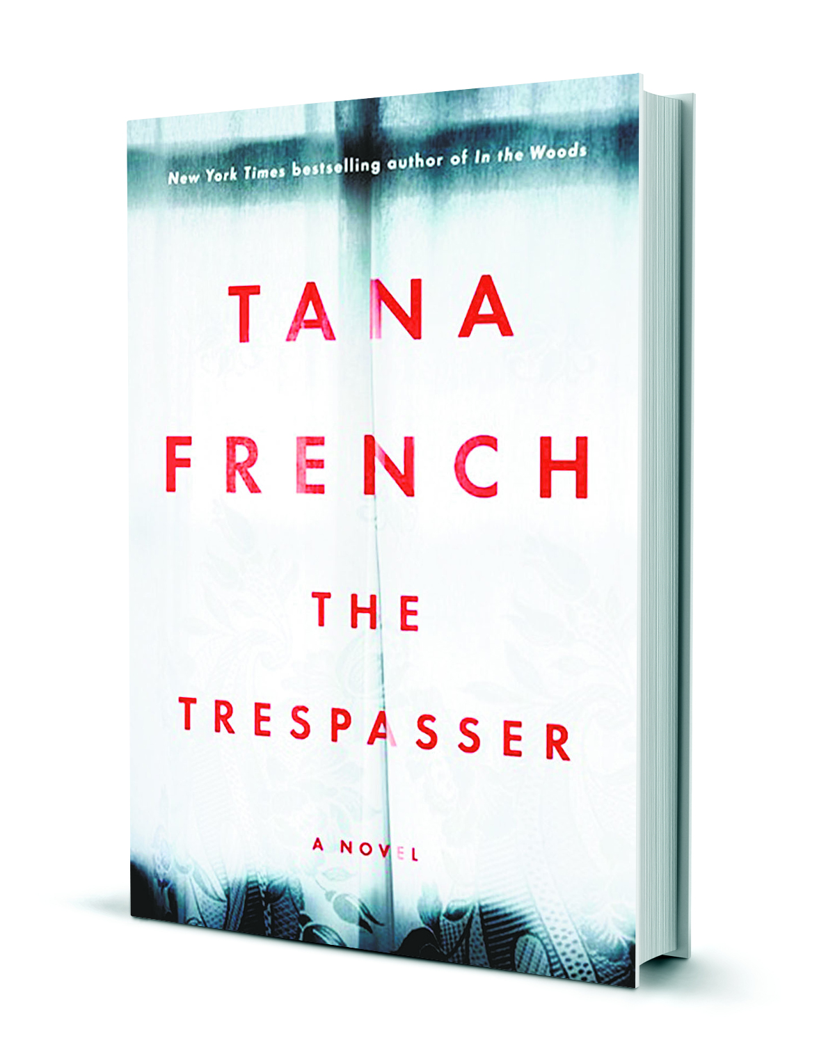 Detective drama: Tana French talks Murder Squad mysteries