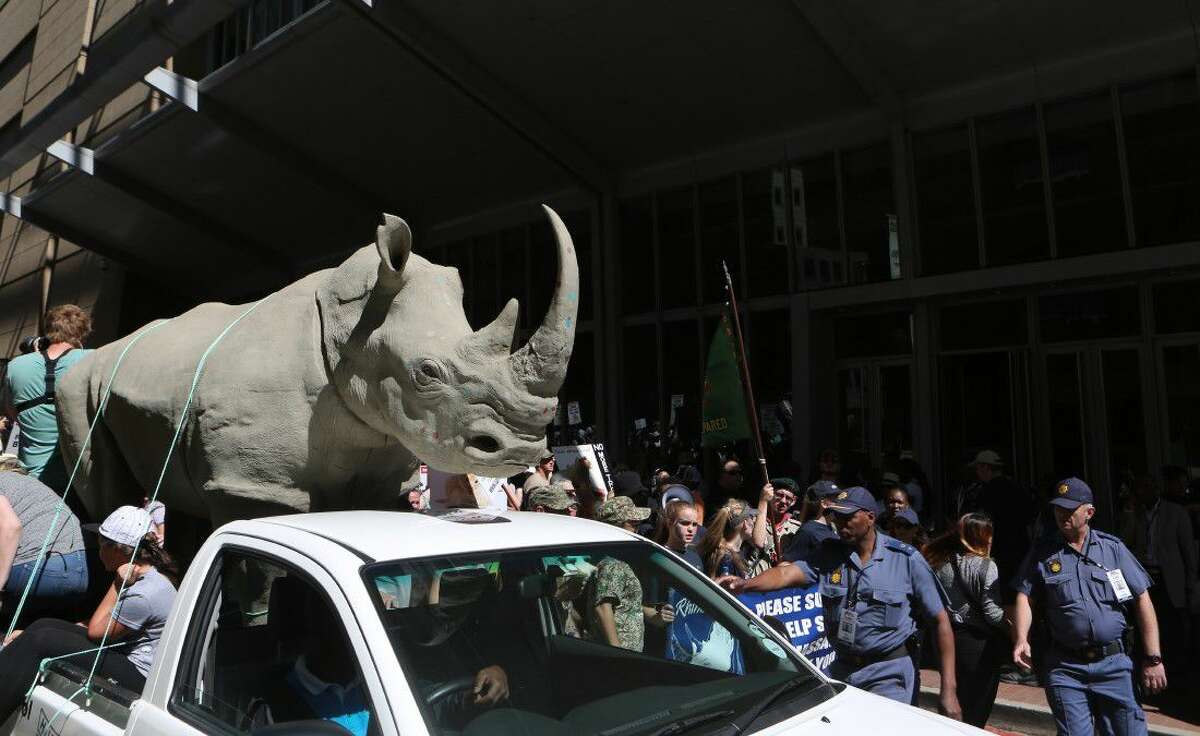 Activists march past the Convention on International Trade in Endangered Species of Wild Fauna and Flora, (CITES) in Sandton, Johannesburg, Saturday.