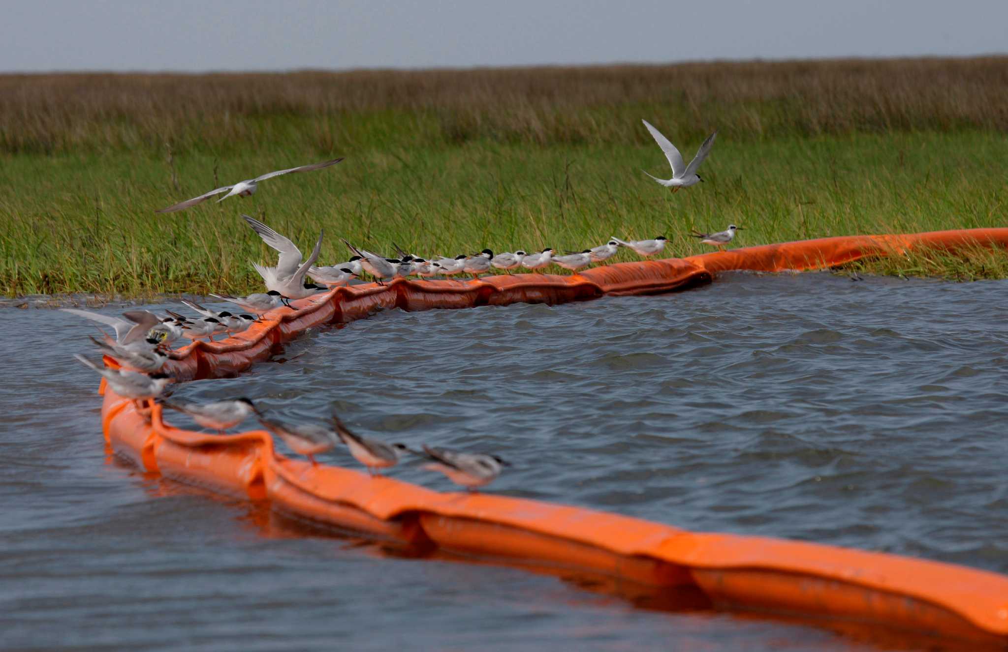 Deepwater Horizon settlement funds to be used to improve Texas coastline