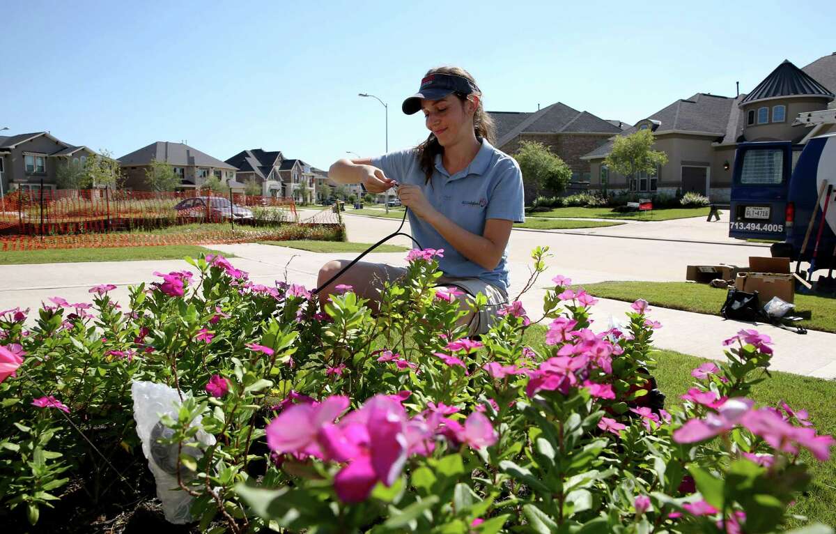 Mariya Kostova works on wiring a spotlight for a client's flower bed in Fulshear. Kostova started her outdoor lighting company in 2012 and left her oil industry corporate job in the fall of 2015.﻿