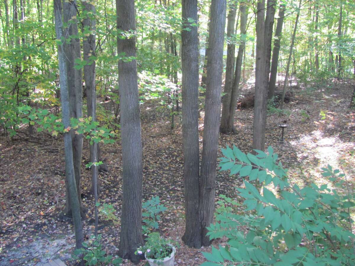 House Hunting Attentiongetter at 2388 N. Deer Valley in Larkin Township