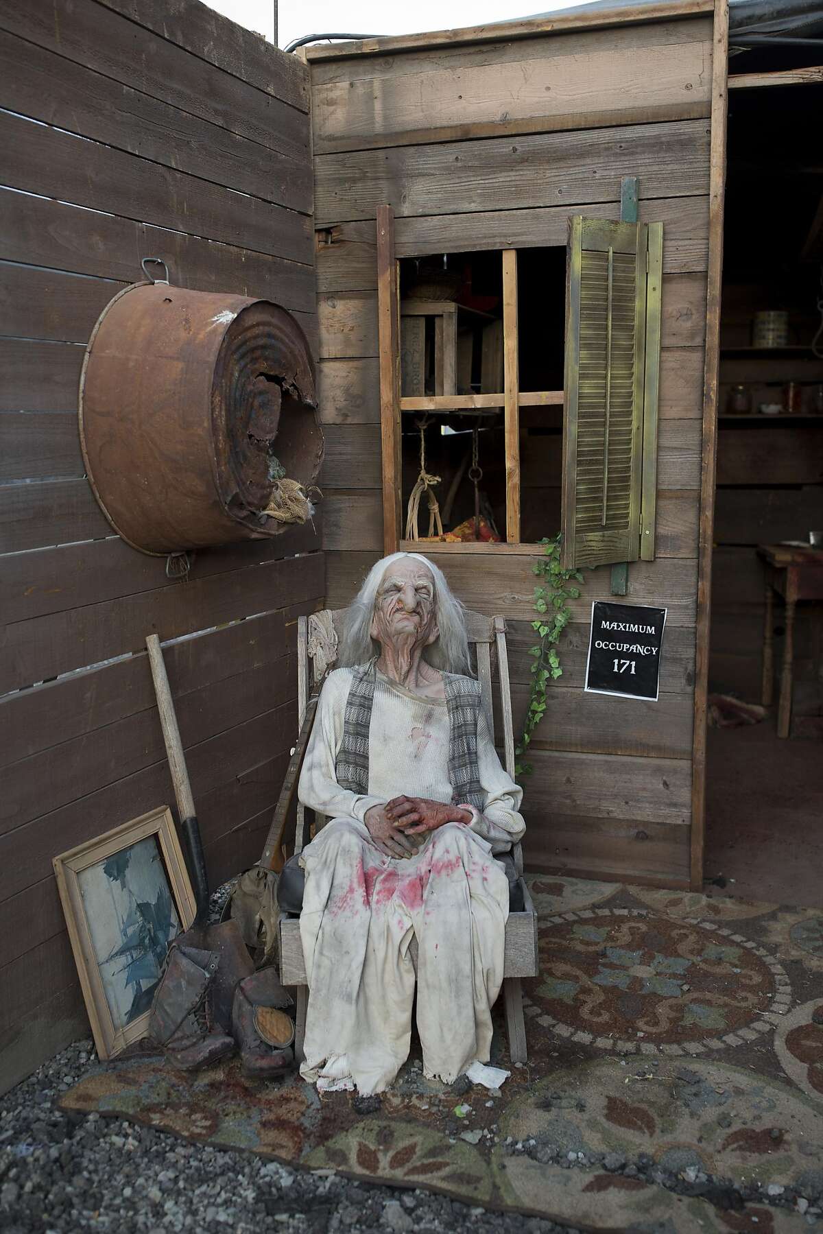 Experience the best of fall with TriValley treats