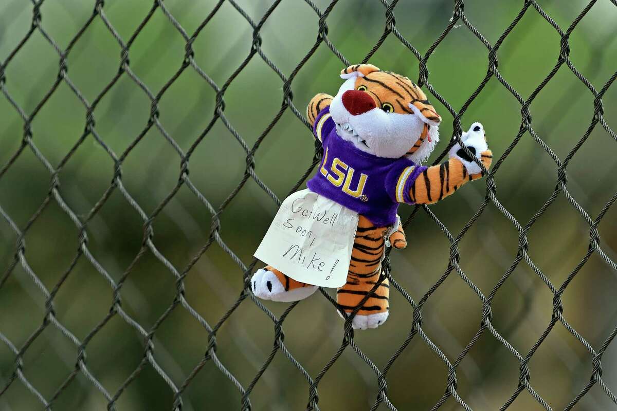 LSU's Mike the Tiger dies after cancer battle