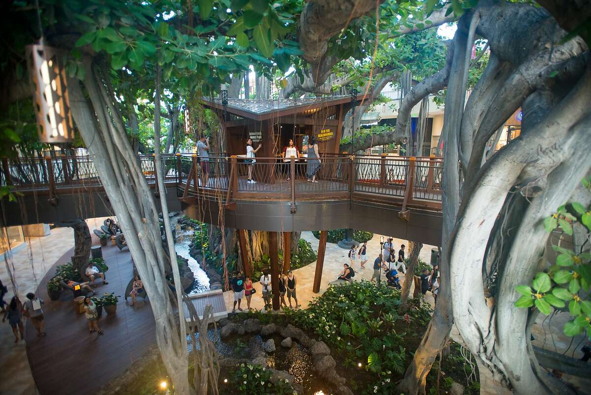 International Market Place - Banyan Tree Waikiki, Honolulu, Hawaii. Island Style - Opulence San Francisco Chronicle