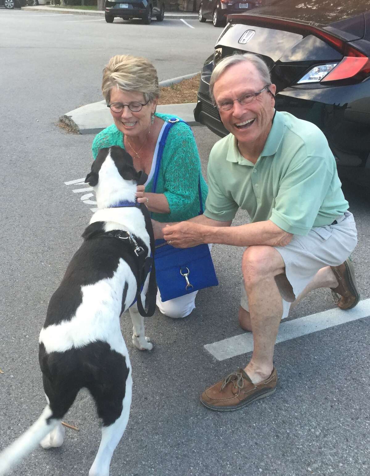 Video Dog thrown over fence at Tomball animal rescue shelter