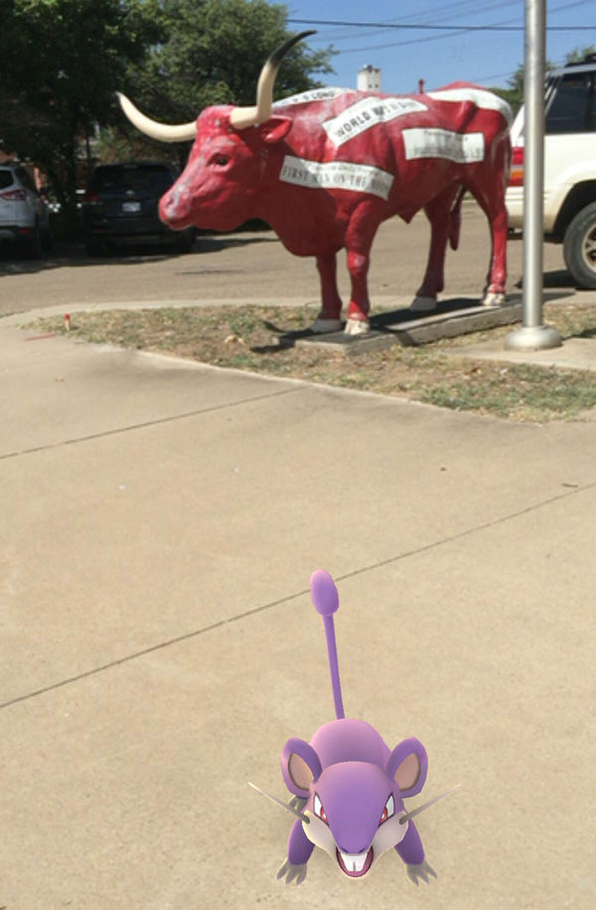 Above, a cellphone screen shot of what players of the mobile game, Pokemon Go, see before capture the digital piece of the game. The Pokemon can be found at a number of landmarks around Plainview.